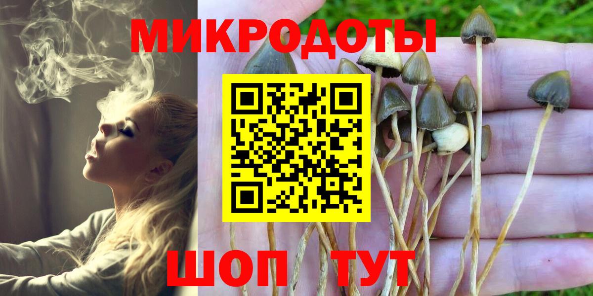 где найти   Галлюциногенные грибы Psilocybe  Вход с VPN  Будённовск  Псилоцибиновые грибы GOLDEN TEACHER 