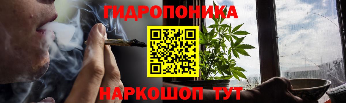Бошки марихуана OG Kush  Конопля AK-47  Бошки Шишки сатива  Марихуана планчик  Будённовск  Вход с VPN 